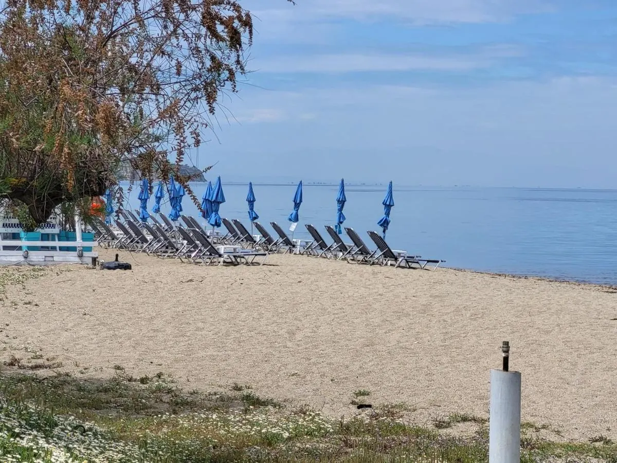 Organised beach with umbrellas