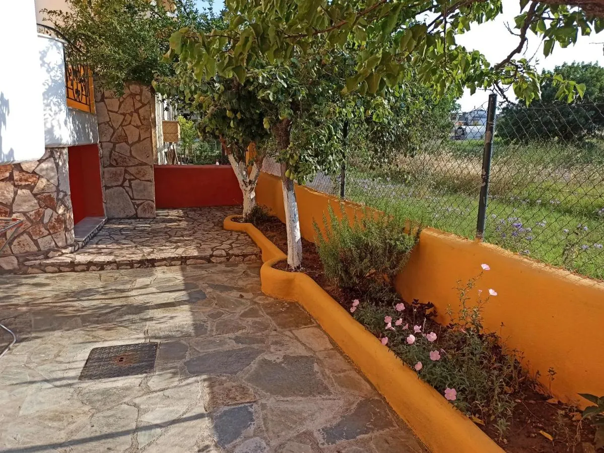 Garden with flowers and trees