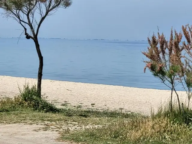 Beach near the house