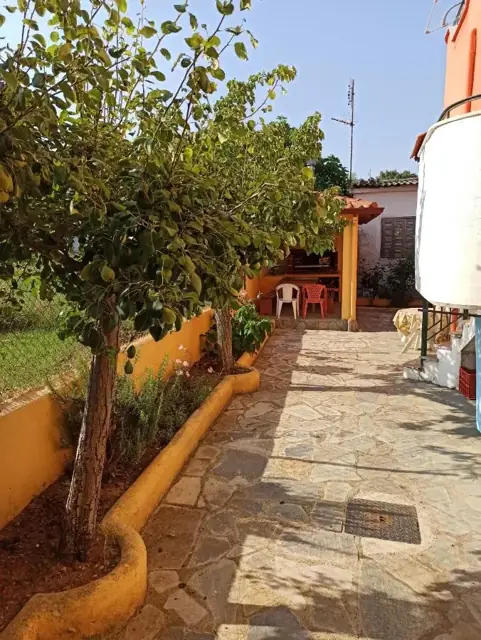 Stone path through the garden