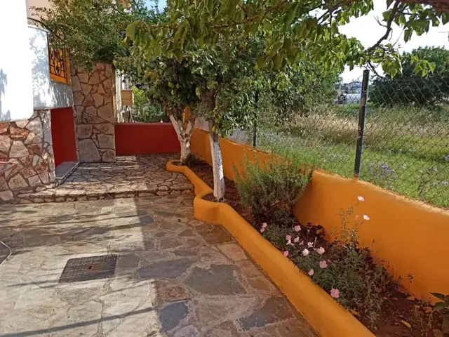 Garden with flowers